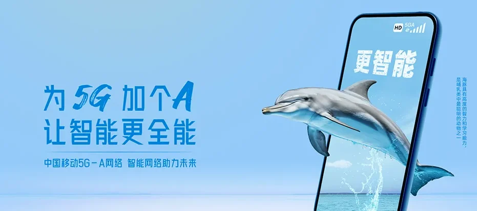 大姚县大姚县龙街镇 移动宽带
